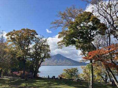 秋の支笏湖1 秋,木,木々の写真素材