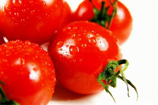 美味しそうなミニトマト ミニトマト,植物,野菜の写真素材