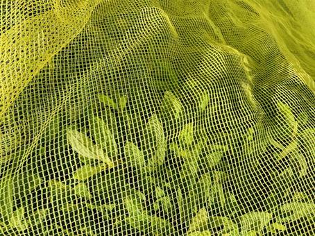 Yellow net background material, JPG