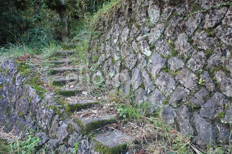 石の階段 階段,石,石垣の写真素材