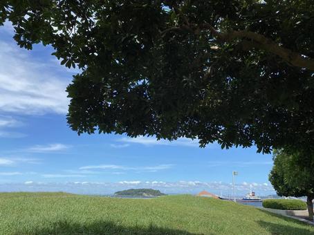 Photo, sunny, grassland, shade, 