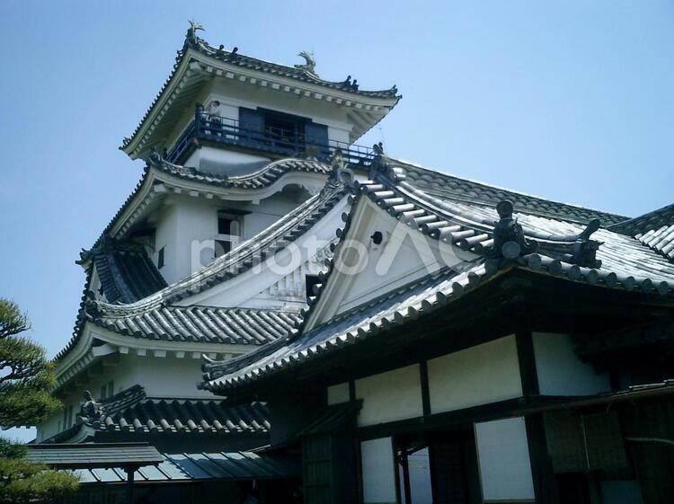 高知城天守閣と本丸御殿 高知城,高知の写真素材