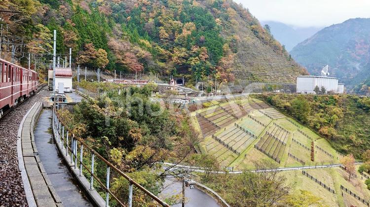 大井川鐵道あぷとラインから見える紅葉風景 紅葉,大井川鐵道,南アルプスあぷとラインの写真素材