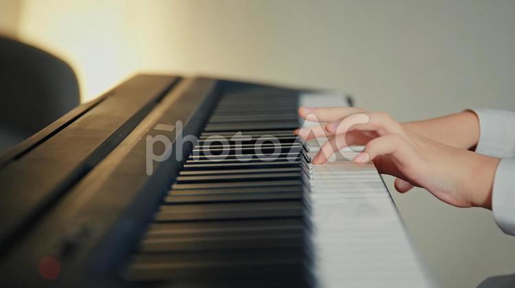 キーボードを練習する初心者の手元 キーボード,鍵盤,手元の写真素材