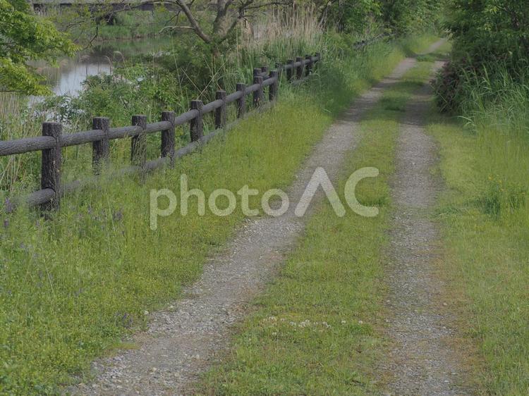 風景　砂利道③ 道,砂利道,田舎道の写真素材