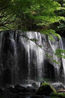達沢不動滝 達沢不動滝の写真