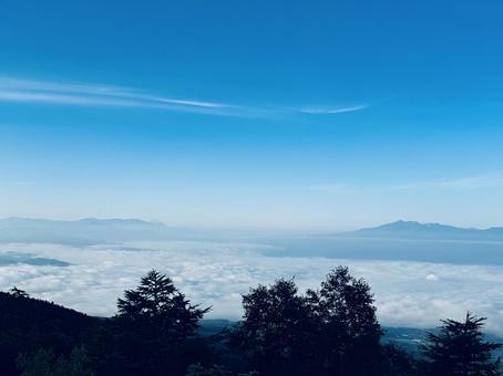 雲海と木々の写真