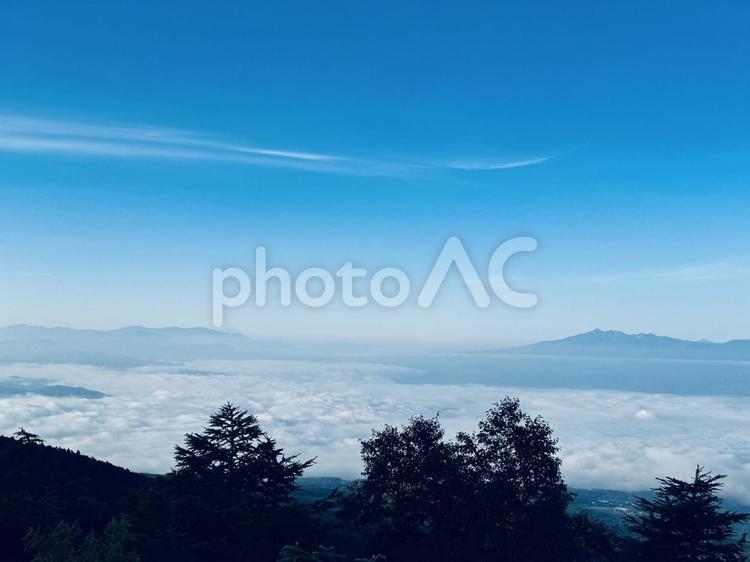 雲海と木々 雲海,木々,山の写真素材
