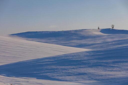 朝の光がつくる雪原の陰影美 雪原,丘陵,冬の写真素材