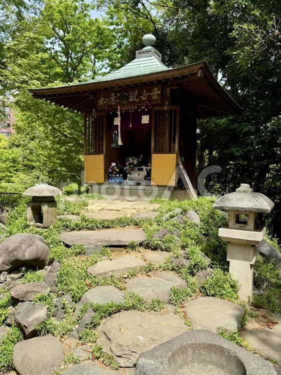 芝公園もみじ谷　如意輪観世音菩薩 芝公園,東京,港区の写真素材