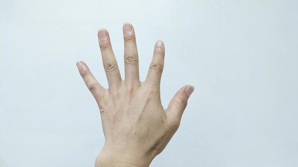 左手をあげてサインを送る手 左手をあげてサインを送る手の写真