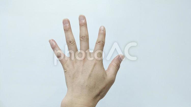 左手をあげてサインを送る手 五のサイン,親指,手をあげるの写真素材