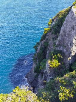 南伊豆の石廊崎から崖下の海を眺める 石廊埼,石廊崎,静岡県の写真素材