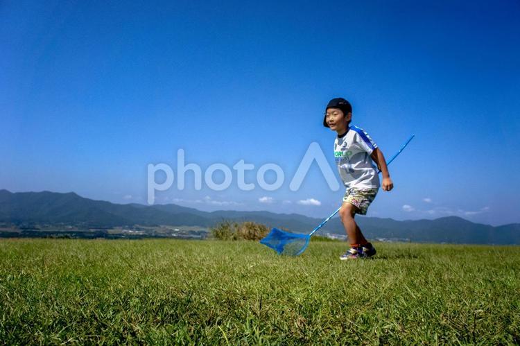 <素材>夏の公園で虫取りをする男の子 <素材>夏の公園で虫取りをする男の子 子供,昆虫採集,空の写真素材