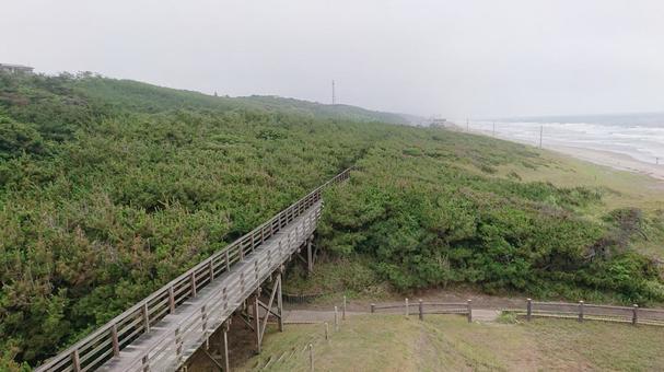 鹿島灘 鹿島灘の写真