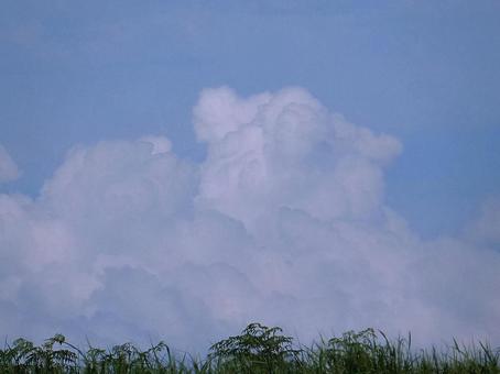 【空の写真】夏空の写真