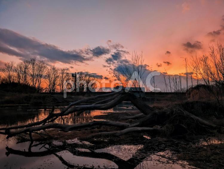 土手の夕焼け 土手,夕焼け,夕日の写真素材