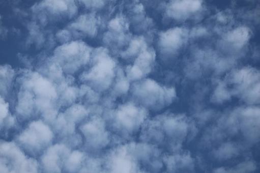 青空に浮かぶ白い綿雲のある空 青空,浮かぶ,白いの写真素材