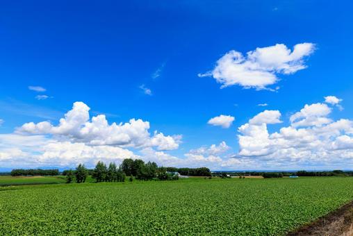 青空と雲 青空,雲,白い雲の写真素材