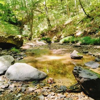 御堂新田の滝の風景 2025 御堂新田の滝の風景 2025 御堂新田の滝,玉吹の滝,滝の写真素材