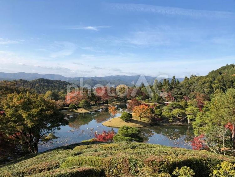 京都　桂離宮　秋　紅葉　もみじ もみじ,紅葉,秋の写真素材