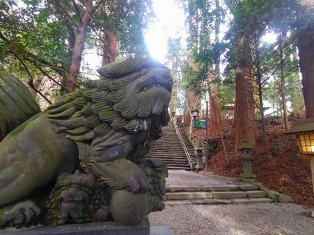 写真素材:宮崎県 高千穂神社の参道 写真素材:宮崎県 高千穂神社の参道の写真