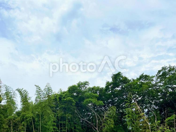 空とやぶ 空,木,風景の写真素材