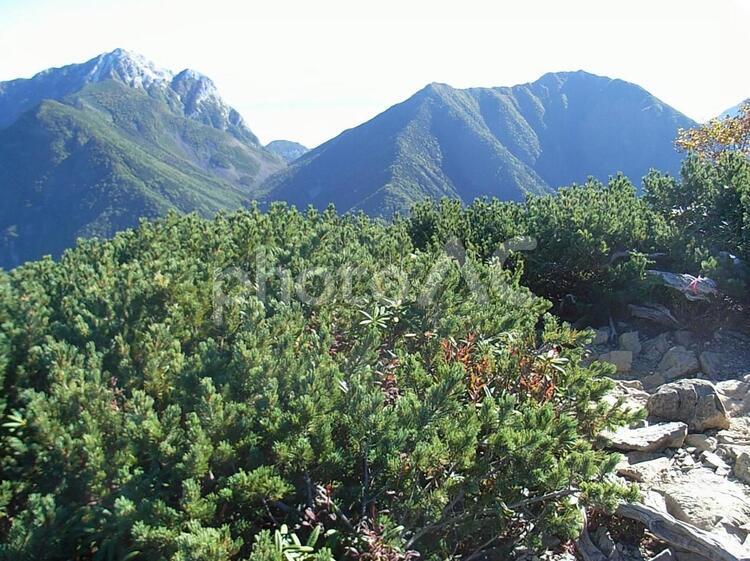 日本　山梨　仙丈ケ岳 日本,山梨,仙丈ケ岳の写真素材
