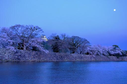 彦根城 彦根城の写真