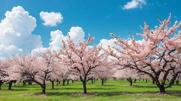 #638 風景 #638 風景の写真