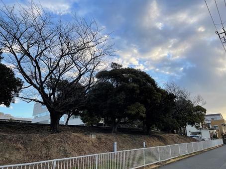 街並み 街並み,マンション,横浜市の写真素材