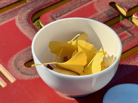 イチョウの葉をお椀に集まる イチョウ,黄色,鉄塔の写真素材