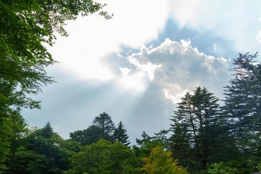 Summer sunshine, rays of light, JPG