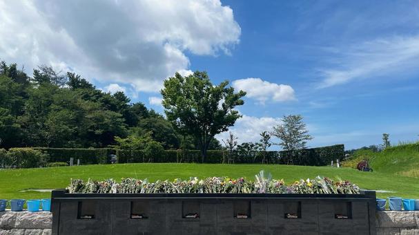 お盆の樹木葬4 お盆の樹木葬4 お墓,墓じまい,共同埋葬の写真素材