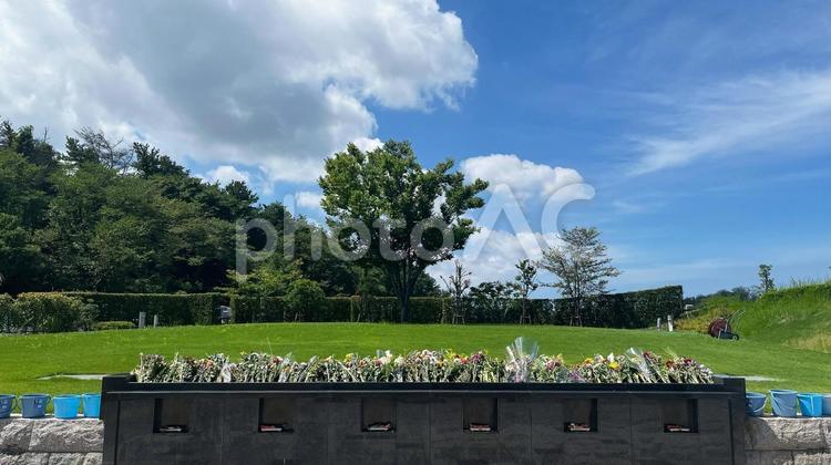 お盆の樹木葬4 お墓,墓じまい,共同埋葬の写真素材