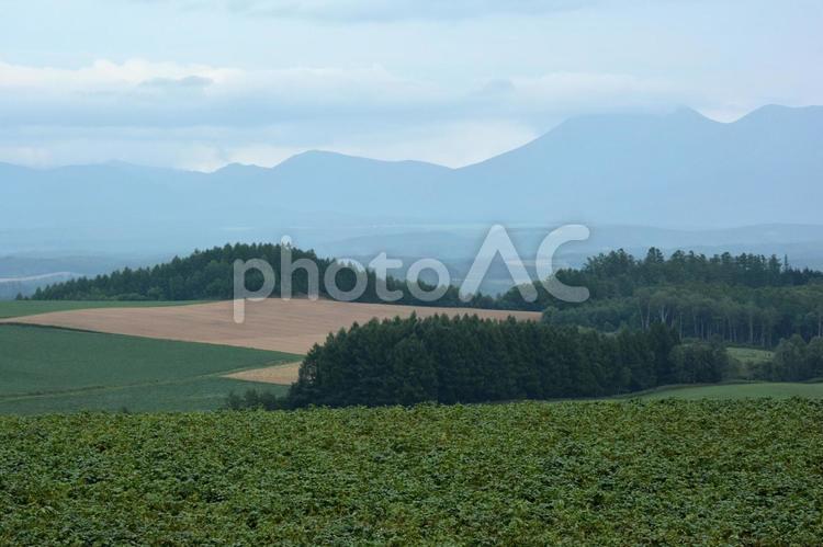 北海道旅行 北海道旅行,北海道,雪国の写真素材