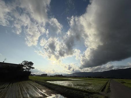 田舎の風景 田舎の風景 田んぼ,稲,イネの写真素材