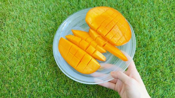 カットマンゴーを食べる カットマンゴーを食べる マンゴー,フルーツ,果物の写真素材
