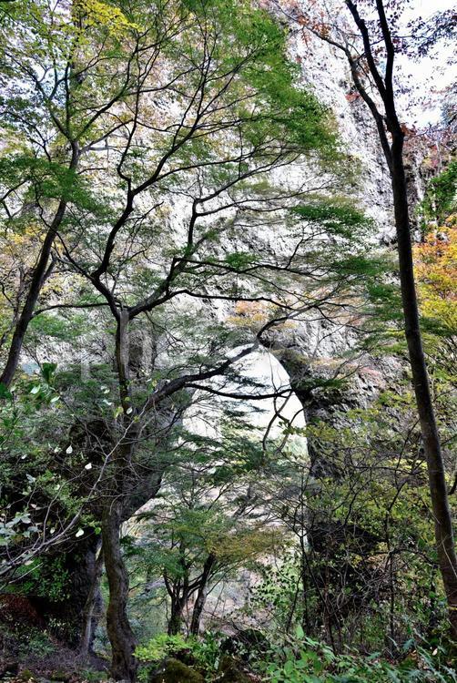 妙義山の奇岩と紅葉Ⅱ（群馬） 秋,紅葉,奇岩の写真素材