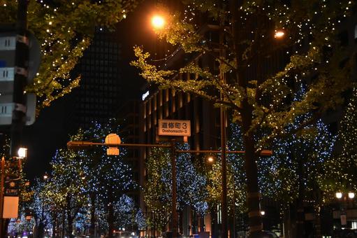 2024御堂筋イルミネーション 2024御堂筋イルミネーション 御堂筋,イルミネーション,夜景の写真素材