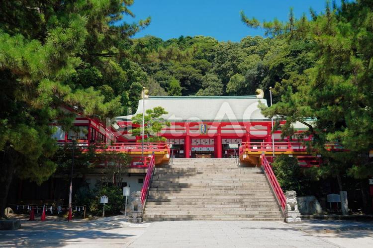 山口県下関市の赤間神宮 山口,下関,夏の写真素材