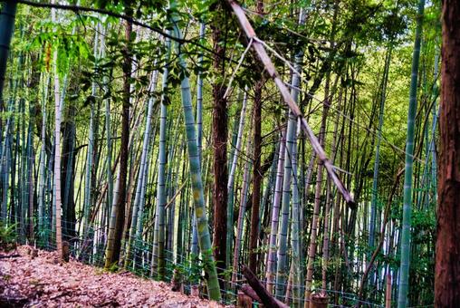 高御位山 播磨平野,山岳,平野の写真素材