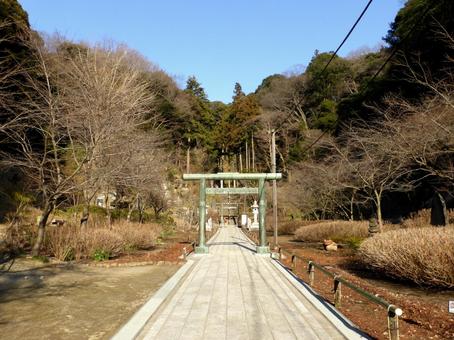 鎌倉の建長寺奥から半蔵坊へ続く参道 鎌倉の建長寺奥から半蔵坊へ続く参道 道,歩道,参道の写真素材