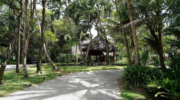 ニューカレドニア354　遊歩道の写真