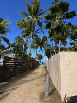 海　ハワイ カイルアビーチ,ハワイ,風景の写真素材