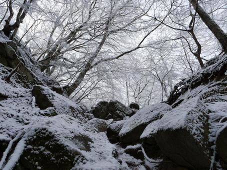 大菩薩峠の霧氷 大菩薩峠の霧氷の写真