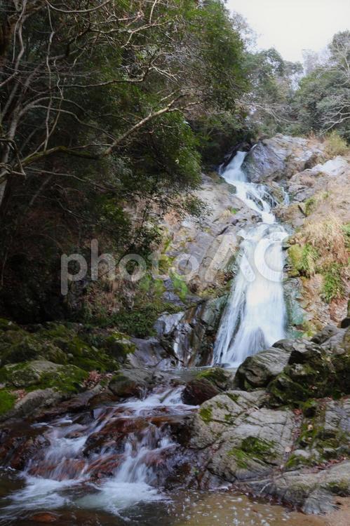 ３月中旬の高松市塩江町の不動の滝 背景,不動の滝,滝の写真素材