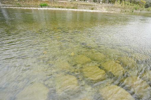 福岡 みやま市 矢部川川辺1 矢部川,川辺,水面の写真素材