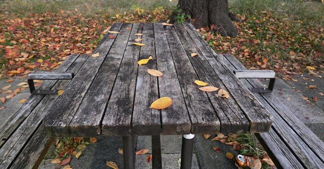 公園のテーブル 公園,枯葉,テーブルの写真素材