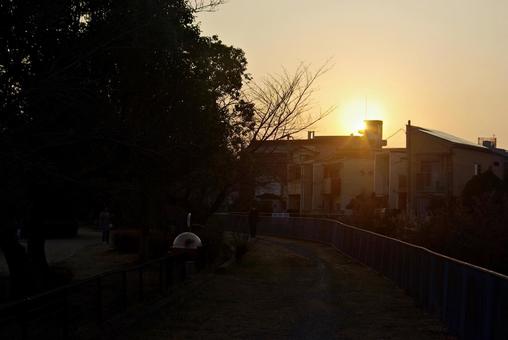 黄金色の冬の夕景 夕景,たそがれ,黄金色の写真素材